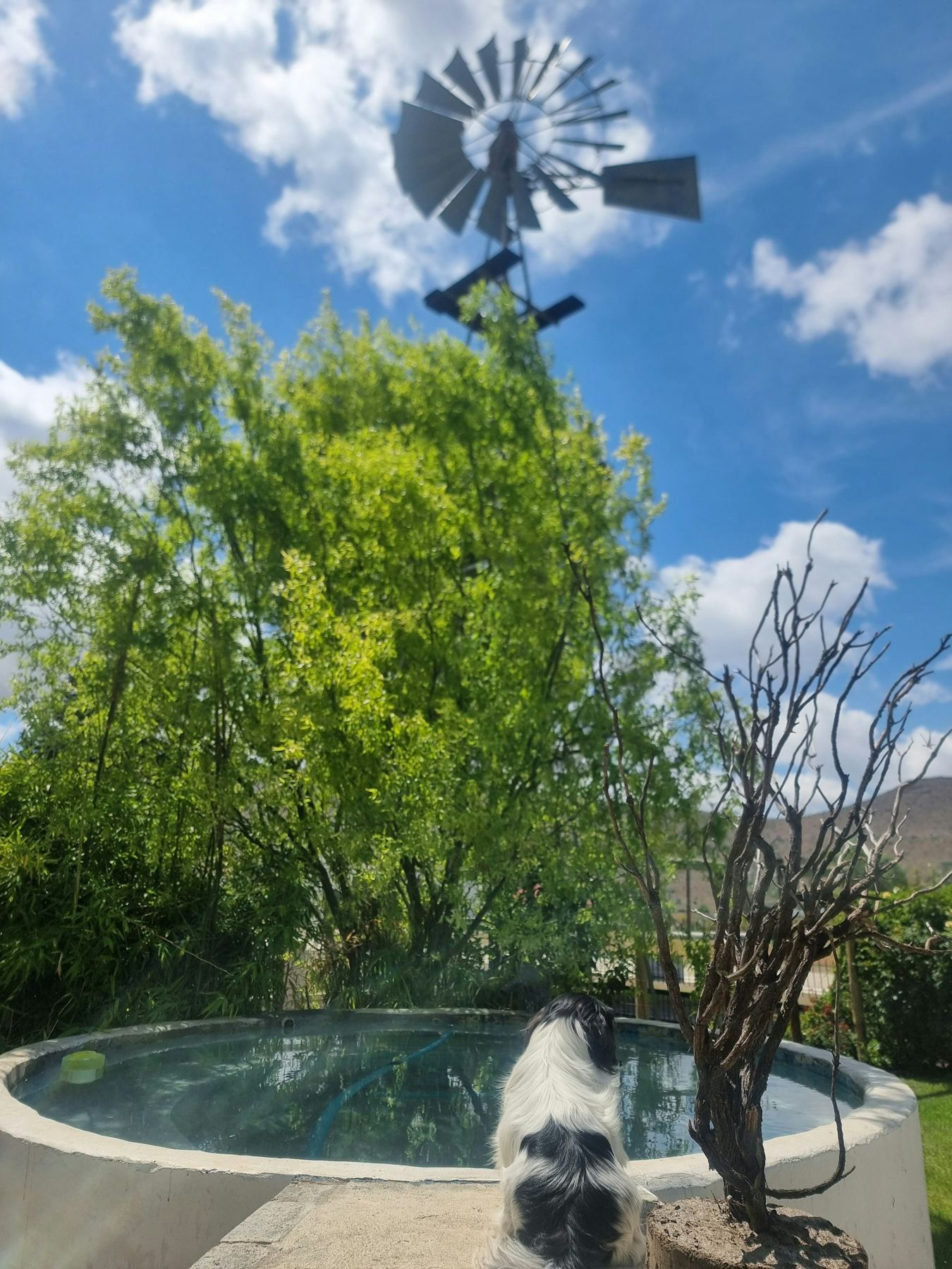 Farm-style pool